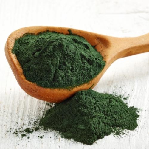 Spirulina für Hunde: Das natürliche Superfood für ein gesundes Hundeleben