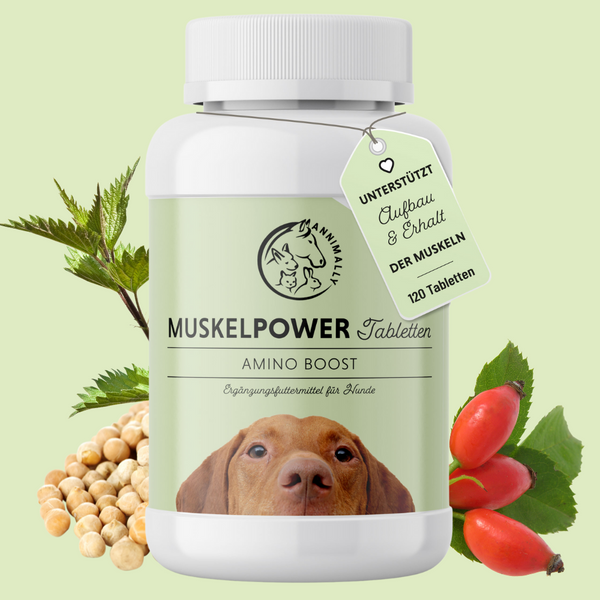 Muskelpower Tabletten