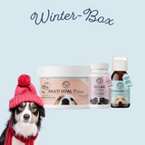 Winter-Box