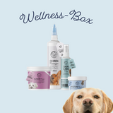 wellnessbox