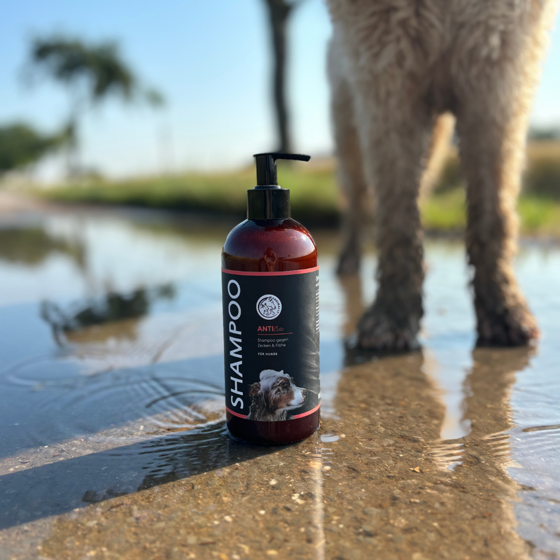 Zecken Shampoo Hund