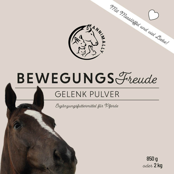 Bewegungsfreude - Joint Powder