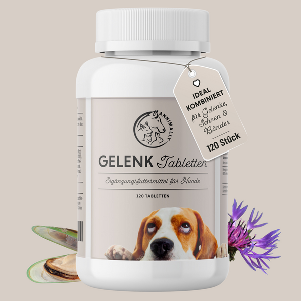 Gelenktabletten