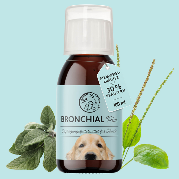 Bronchiale Plus