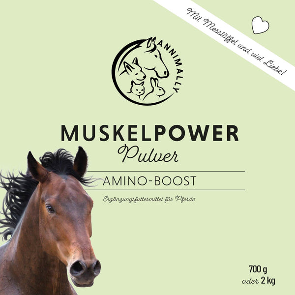 Muskelpower Pulver