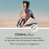 Strahl Akut