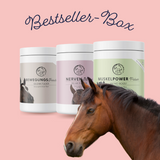 Bestseller Box Horse