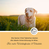 Senior Vital tablets