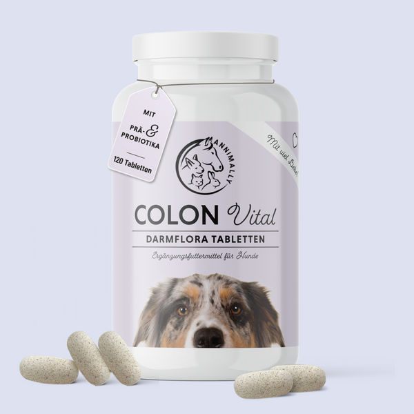 Colon Vital Tablets