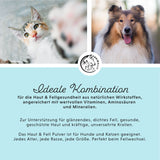 Ideale Kombination aus Wirkstoffen für die Fellpflege von Hunden & Katzen