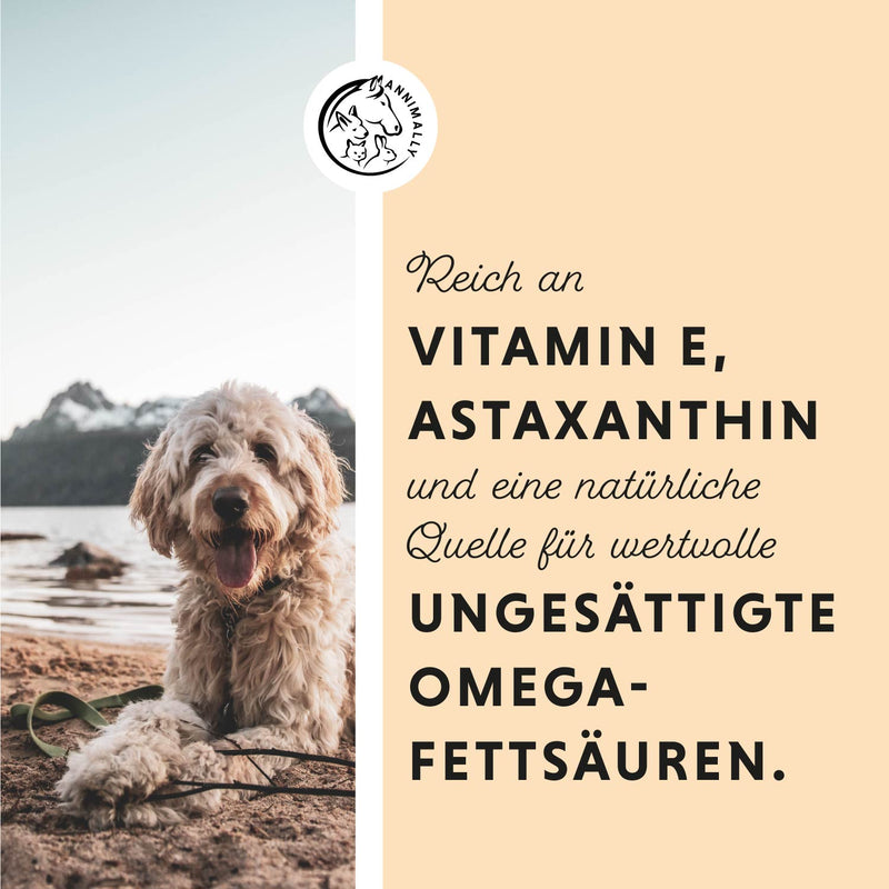 Lachsöl, reich an Vitamin E und Omega Fettsäuren 