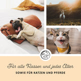 Lachsöl für alle Hunde, Katzen und Pferde