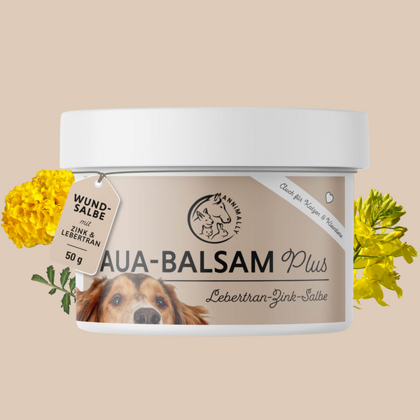 Aua-Balsem Plus 