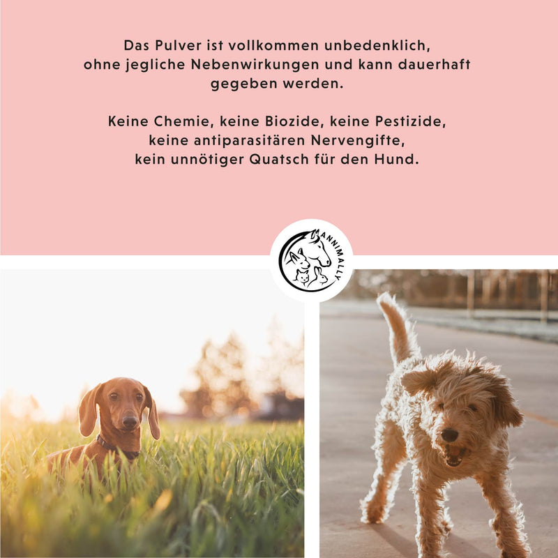 Unser Pulver aus Schwarzkümmelöl für Hunde