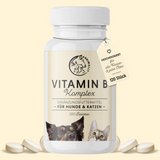 Vitamin B complex