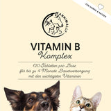 Vitamin B complex