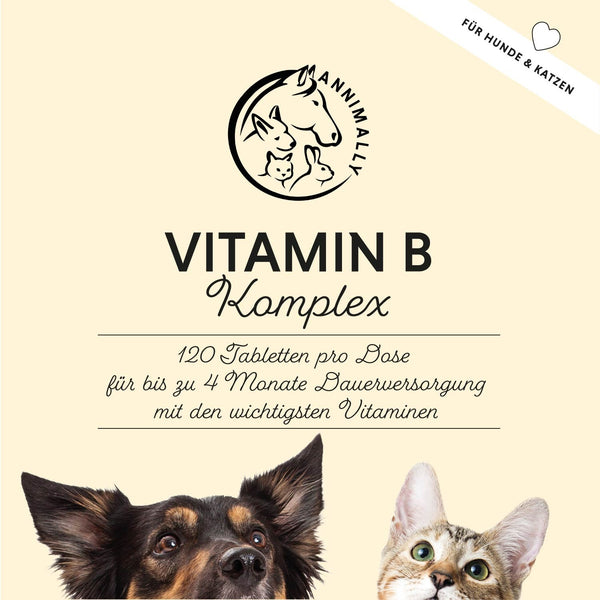 Vitamin B complex